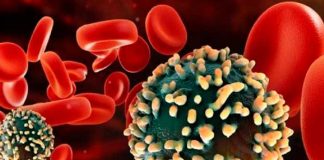 Investigadores aseguran que nuevo método podrá "matar" células con VIH