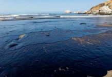Expertos de la ONU evalúan daños del derrame petrolero en Perú Expertos de la ONU evalúan daños del derrame petrolero en Perú