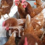 Familias de Diría beneficiadas