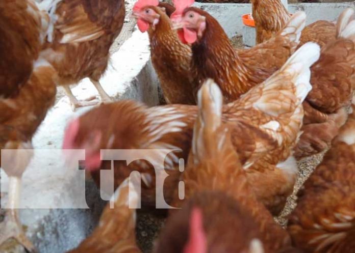 Familias de Diría beneficiadas