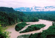 Derrame de crudo en la Amazonia afecta reserva indígena Derrame de crudo en la Amazonia afecta reserva indígena