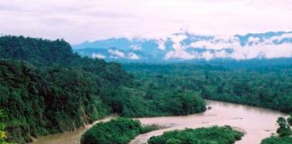 Derrame de crudo en la Amazonia afecta reserva indígena