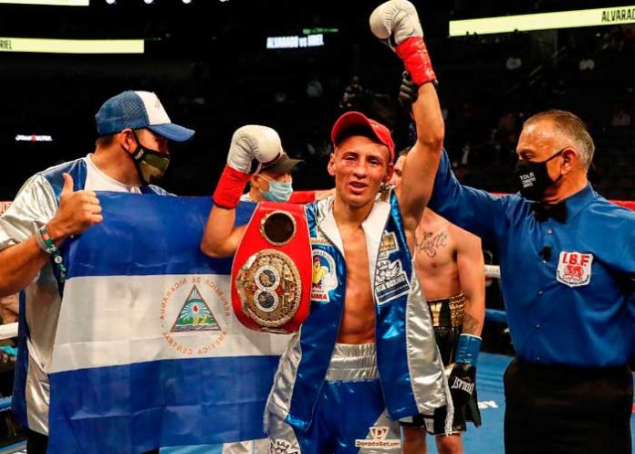 felix, alvarado, boxeo, deporte, defensa,