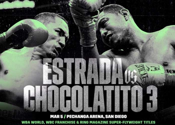 Chocolatito chocolatito, roman, gallo,
