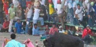 ¡Brutal! En Colombia toro cornea y mata a joven; le perforó el corazón