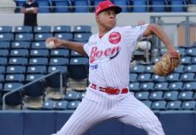 Pitcheo prevalece en la escogencia de refuerzos en la LBPN santo, jarquín, lbpn, beisbol,