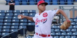 santo, jarquín, lbpn, beisbol,