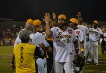 León ruge en casa y empata serie final de la LBPN león, lbpn, béisbol, profesional, gigantes, rivas,