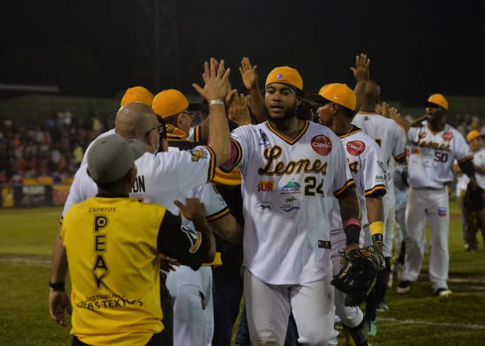 Leon león, lbpn, béisbol, profesional, gigantes, rivas,