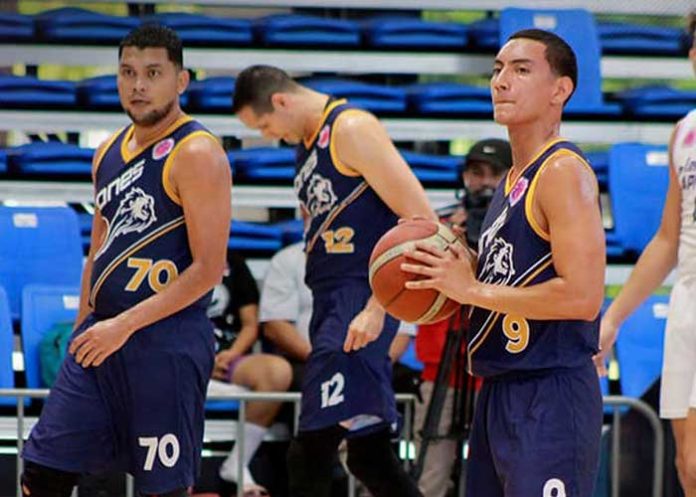 Leones leones, alma, baloncesto, carlos, ulloa,