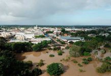 ¡Milagro en Australia! Padre e hija sobreviven a inundación tras aferrarse árbol