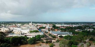 ¡Milagro en Australia! Padre e hija sobreviven a inundación tras aferrarse árbol