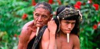 Joven carga a su padre para ser vacunado contra el COVID en Brasil