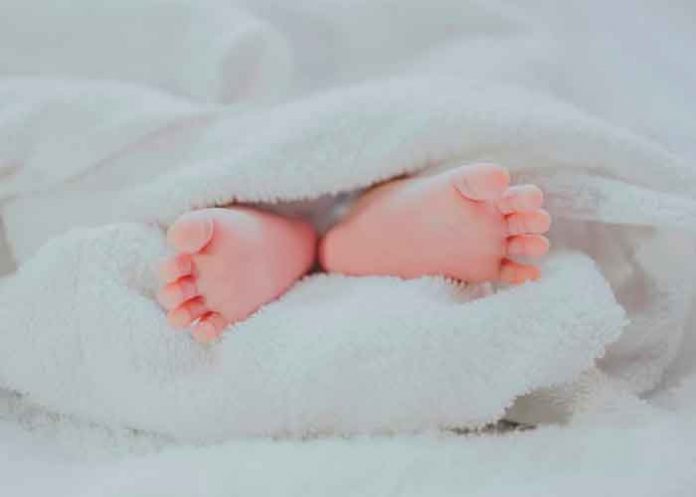 ¡Se aferro a la vida! Bebé declarado muerto revivió en su entierro en Brasil