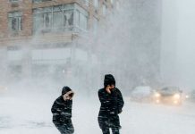 Desgarrador: Cuatro migrantes mueren congelados en la frontera de Canadá Desgarrador: Cuatro migrantes mueren congelados en la frontera de EEUU