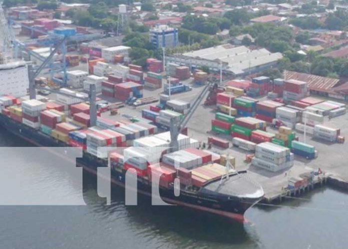 Foto: Las importaciones en Nicaragua han registrado mayor solidez debido a la demanda del mercado, generando buenas cifras en la economía del 2023/ TN8