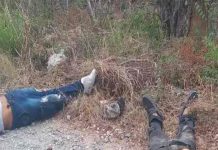 Hallan dos personas decapitadas con narco mensajes en Oaxaca, México Hombres decapitados en México