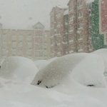 Encuentran niña en medio de una tormenta de nieve refugiada con un perro Encuentra niña en medio de una tormenta de nieve refugiada con un perro