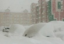 Encuentra niña en medio de una tormenta de nieve refugiada con un perro
