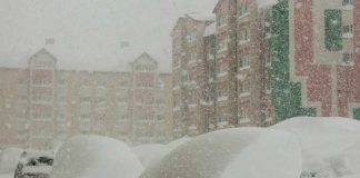 Encuentra niña en medio de una tormenta de nieve refugiada con un perro