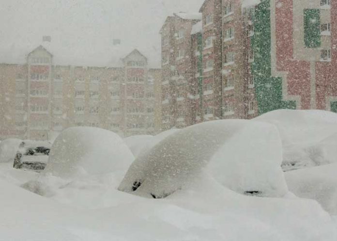 Encuentra niña en medio de una tormenta de nieve refugiada con un perro