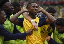 ecuador, eliminatorias, futbol, conmebol, colombia