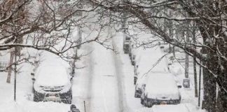 Lluvias y nieve dejan cinco muertos en Estados Unidos