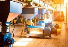 Buen inicio de 2022 en Nicaragua: APRODESNI anuncia millonaria inversión en Chinandega Planta para procesamiento de oleaginosas (Referencia)