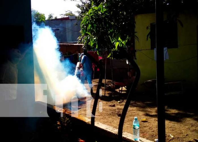 Jornada de fumigación y abatización en el barrio 22 de enero, Managua