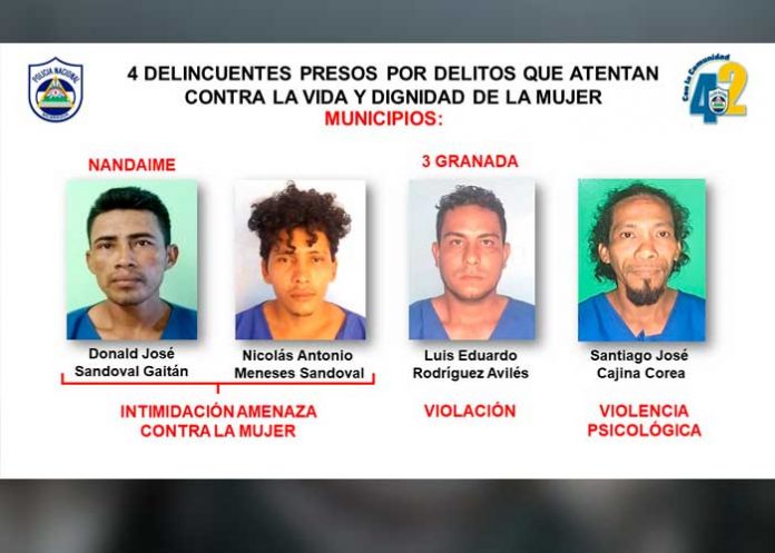 granada-poli-1 Captura de delincuentes en Granada