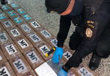 Decomisos de cocaína en Guatemala cayeron un 20% en 2021 Incautación de cocaína en Guatemala