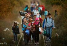 Guatemala busca endurecer penas contra "coyotes" para reducir migración