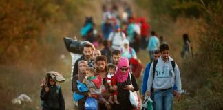 Guatemala busca endurecer penas contra "coyotes" para reducir migración