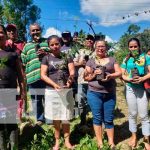 Cultivarán la guayaba asiática en el Caribe Norte de Nicaragua Producción de guayabas asiáticas en el Caribe Norte de Nicaragua