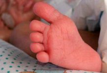 Nombra a su bebé «Lucifer» y fue el ojo de las críticas Nombra a su bebé "Lucifer" y fue el ojo de las críticas