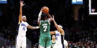 celtics, brown, nba, baloncesto, usa,