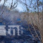 Bomberos controlan incendio de maleza en las laderas de Nejapa Quema de maleza en terreno de Nejapa, Managua