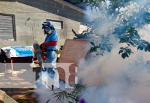 Brigadistas de la salud aplican BTI y fumigan en Villa Guadalupe, Managua Jornada de fumigación y abatización de Managua