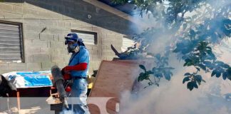 Jornada de fumigación y abatización de Managua