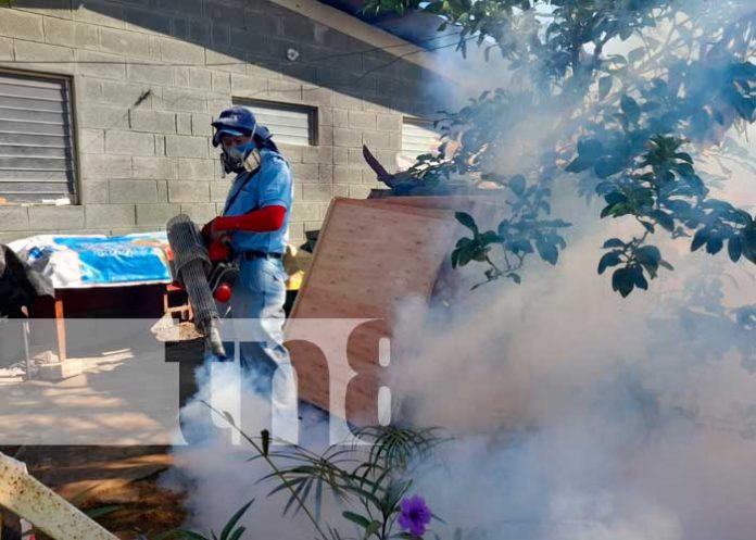 Jornada de fumigación y abatización de Managua