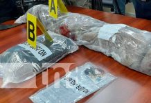 Los agarran con gran «bojo» de marihuana en Carretera a Masaya, Managua Incautación de marihuana en el Distrito V de Managua