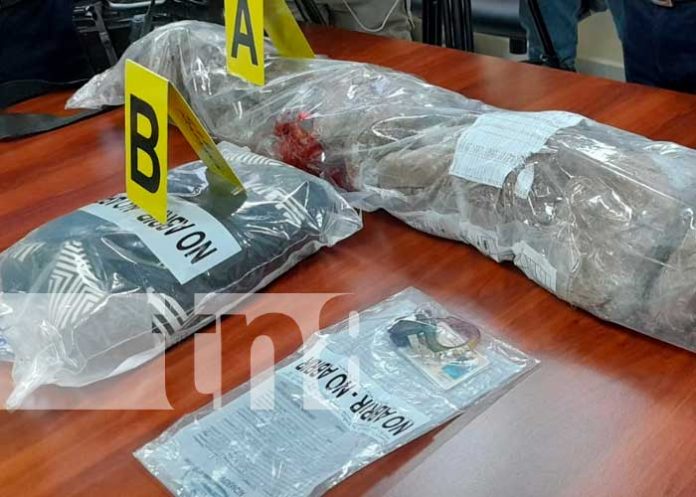 Incautación de marihuana en el Distrito V de Managua