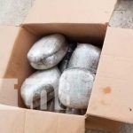 Caja llena de marihuana en un barrio de Matagalpa