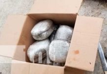 Institución del orden ocupa una caja repleta de marihuana en Matagalpa Caja llena de marihuana en un barrio de Matagalpa
