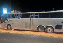 ¡Iban a USA! Detienen 198 migrantes en autobuses turísticos en México ¡Iban a USA! Detienen 198 migrantes en autobuses turísticos en México