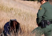 ¡No más sueño americano!: Migrante muere huyendo de la Guardia en Texas ¡No más sueño americano!: Migrante muere huyendo de la Guardia en Texas