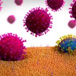 Descubren más virus desconocidos mediante una herramienta informática