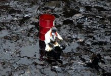 Emergencia ambiental por el derrame de petróleo en las costas de Perú Emergencia ambiental por el derrame de petróleo en las costas de Perú