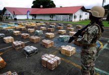 Panamá supera su récord de incautaciones de droga en 2021 Incautación de cocaína en Panamá