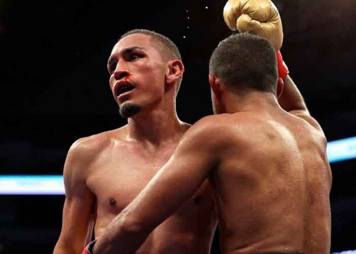 gallo, estrada, boxeo, chocolatito, gonzalez